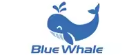 Blue Whale